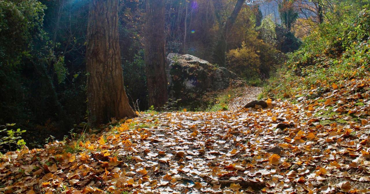 Alojamiento Rural Fuente De La Glorieta Cazorla Dış mekan fotoğraf