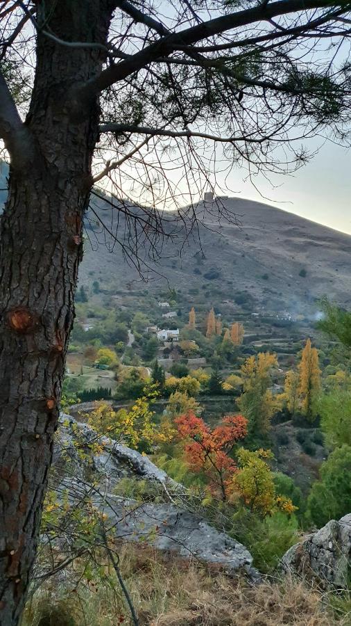 Alojamiento Rural Fuente De La Glorieta Cazorla Dış mekan fotoğraf
